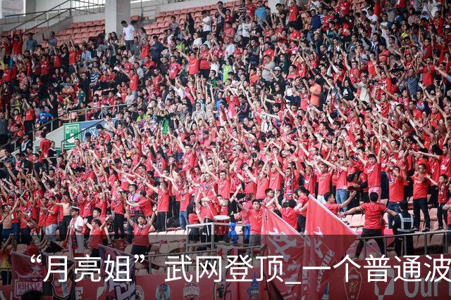 “月亮姐”武网登顶 一个普通波兰女孩的不普通赛季