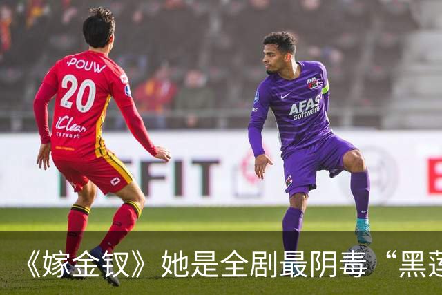 《嫁金钗》她是全剧最阴毒“黑莲花”！演员《知否》演反派，一度火出圈