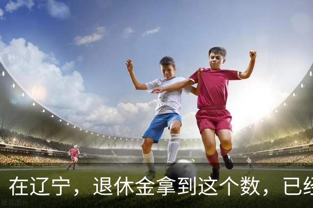 在辽宁，退休金拿到这个数，已经超过八成退休人员