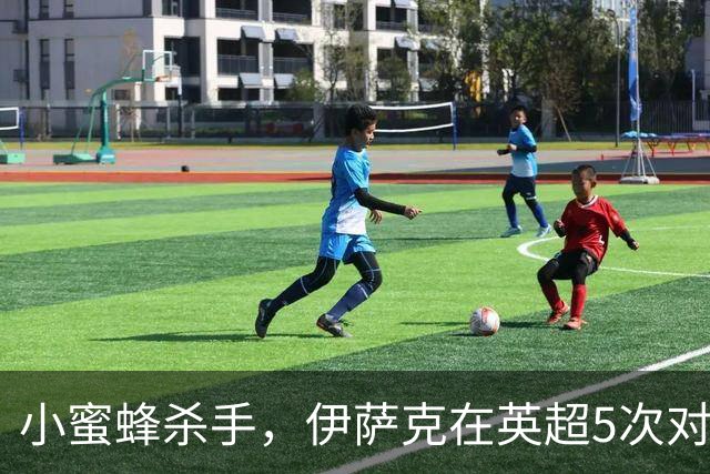 小蜜蜂杀手，伊萨克在英超5次对阵布伦特福德均有进球