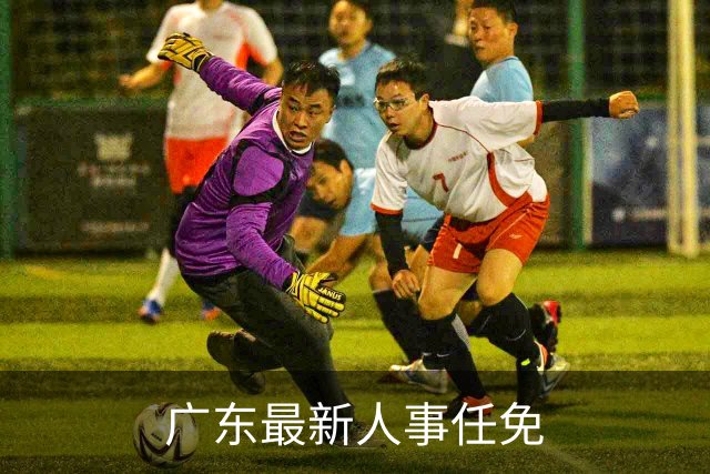 广东最新人事任免
