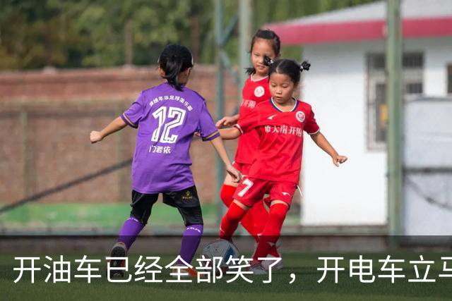 开油车已经全部笑了，开电车立马开始慌了！2026年油电新政落地执行，税费规则变了