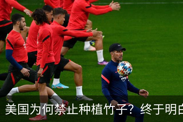 美国为何禁止种植竹子？终于明白，原来竹子比我们想象的更可怕