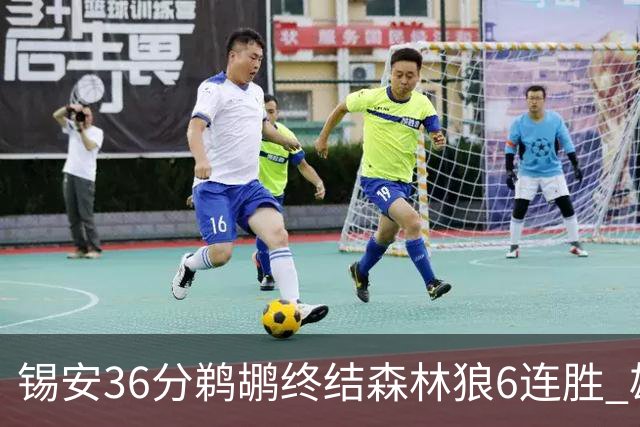 锡安36分鹈鹕终结森林狼6连胜 雄鹿险胜公牛